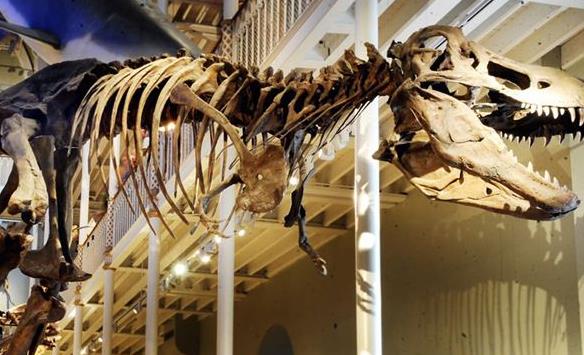 英格蘭愛丁堡十大旅游景點排行榜 愛丁堡好玩的地方推薦