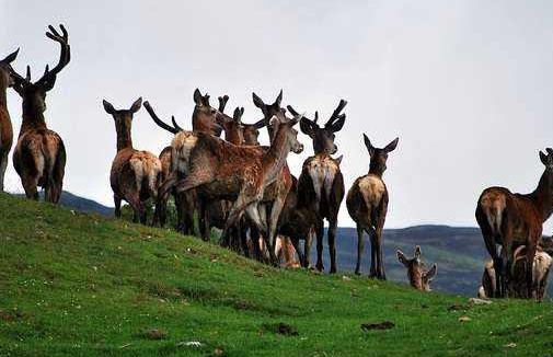 蘇格蘭高地議會區十大旅游景點排行榜 高地議會區好玩的地方推薦