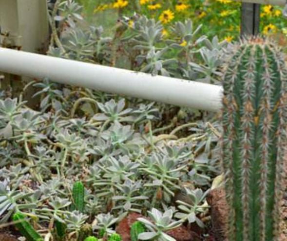 北萊茵-威斯特法倫州科隆十大旅游景點排行榜 好玩的地方推薦