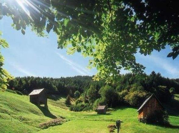 北萊茵-威斯特法倫州波恩九大旅游景點排行榜 好玩的地方推薦
