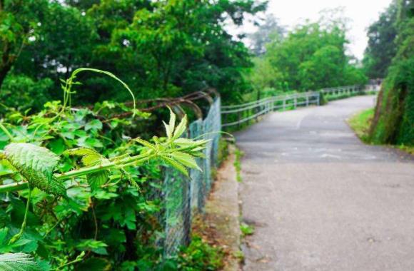 巴登-符騰堡州海德堡七大旅游景點排行榜 好玩的地方推薦