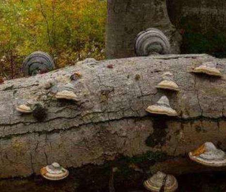 意大利倫巴第大區十大旅游景點排行榜 好玩的地方推薦