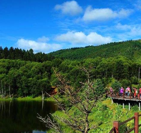 西班牙安達(dá)盧西亞自治區(qū)十大旅游排行 多南那有超過(guò)700年的著名歷史