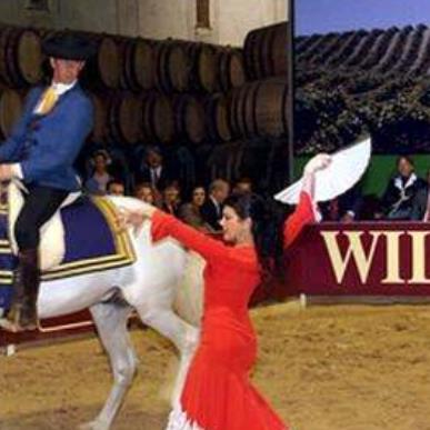 西班牙安達(dá)盧西亞自治區(qū)十大旅游排行 多南那有超過(guò)700年的著名歷史