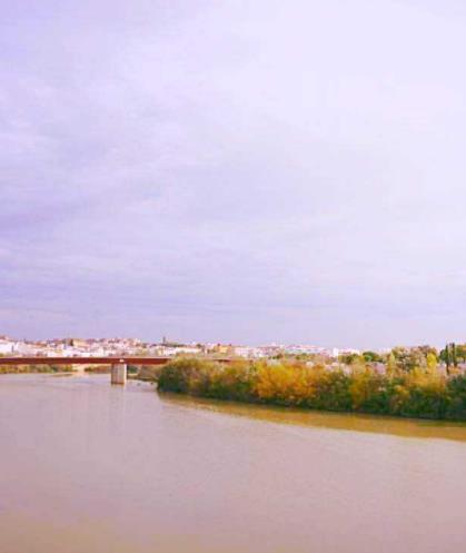 西班牙安達(dá)盧西亞自治區(qū)十大旅游排行 多南那有超過(guò)700年的著名歷史