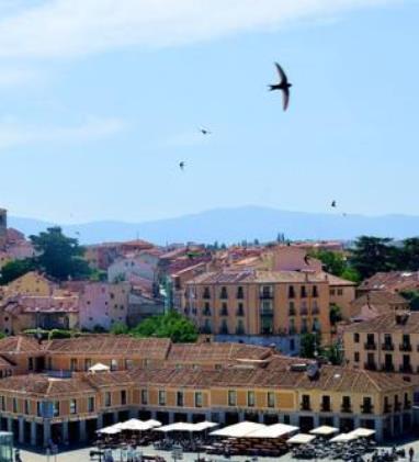 西班牙卡斯蒂利亞-萊昂自治區十大旅游排行 阿維拉被選為世界文化遺產