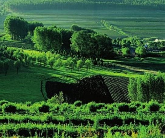 瑞士瓦萊州十大旅游景點(diǎn)排行榜 馬特宏峰是瑞士引以為傲的象征