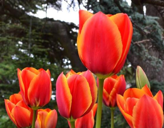 俄羅斯克里米亞八大旅游排行 里瓦幾亞宮為新文藝復興建筑風格