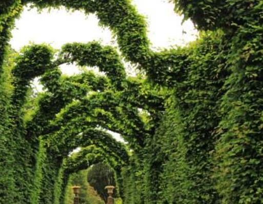 愛爾蘭奧法利郡四大旅游排行 如克朗是愛爾蘭修道院建筑遺跡