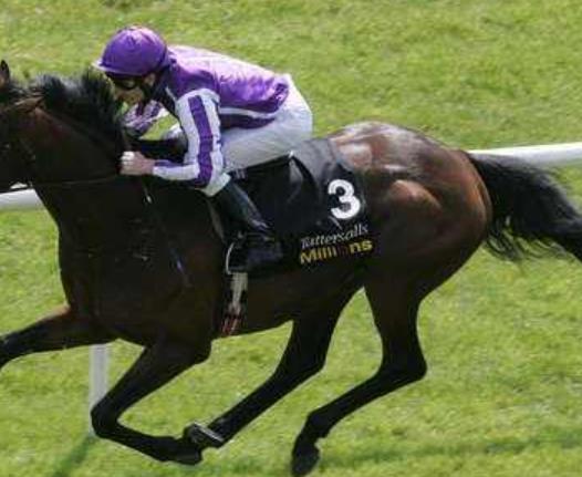 愛爾蘭基爾代爾郡六大旅游排行 愛爾蘭國家馬場(chǎng)始建于1900年