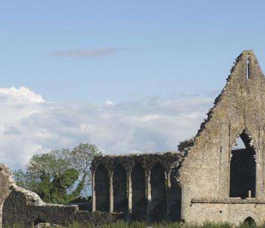 愛(ài)爾蘭羅斯康芒郡三大旅游排行 博艾修道院由西多會(huì)修士建于1161年