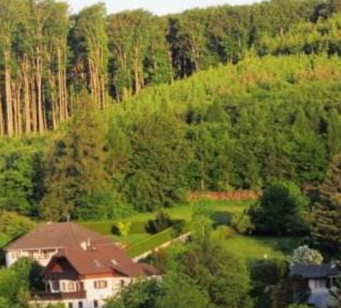 奧地利十大旅游景點(diǎn)排行 多瑙河是世界上干流流經(jīng)國(guó)家最多的河流