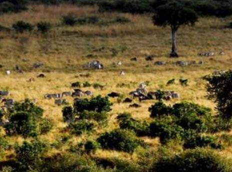 比利時布魯塞爾十大旅游排行 人類熱情之廟是新藝術運動風格的建筑