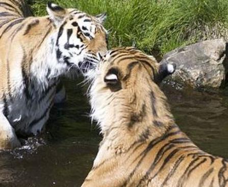 挪威十大旅游排行 哈當厄國家公園是挪威最大的國家公園