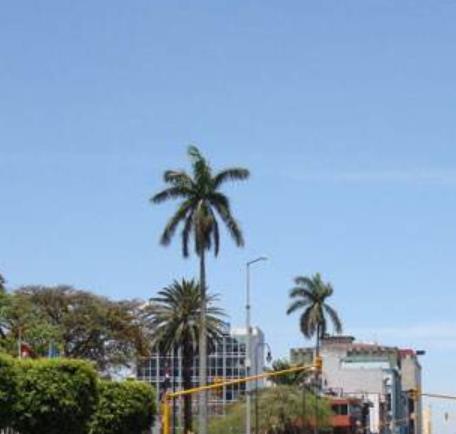 希臘中馬其頓大區(qū)八大景點(diǎn)排行 阿索斯山是東正教的精神中心