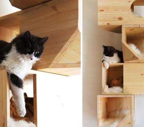 拉脫維亞里加十大旅游景點(diǎn)排行 里加圣彼得教堂始建于1209年