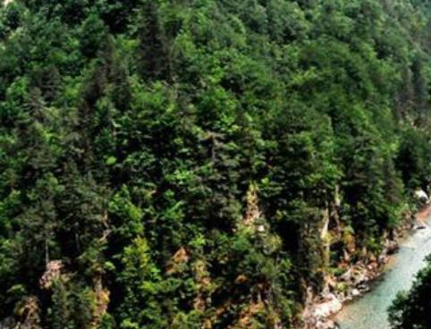 黑山十大旅游景點排行 塔拉河谷大橋位于黑山北部塔拉河谷地區