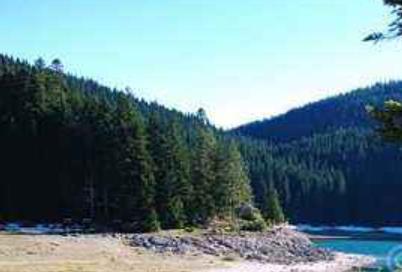 黑山十大旅游景點排行 塔拉河谷大橋位于黑山北部塔拉河谷地區