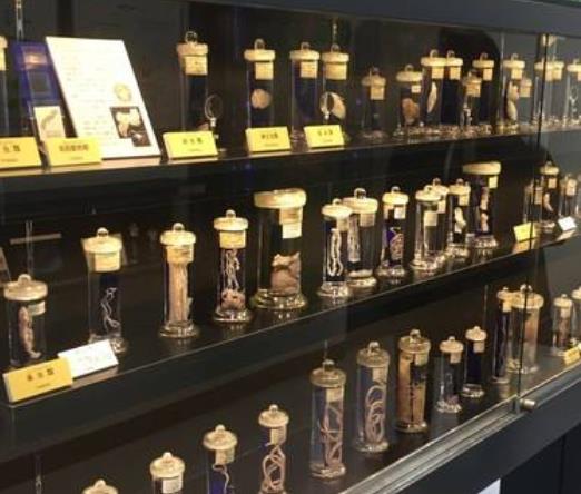 世界10大最嚇人博物館旅游排行 口技木偶帶我們回到過去的歌舞時(shí)代