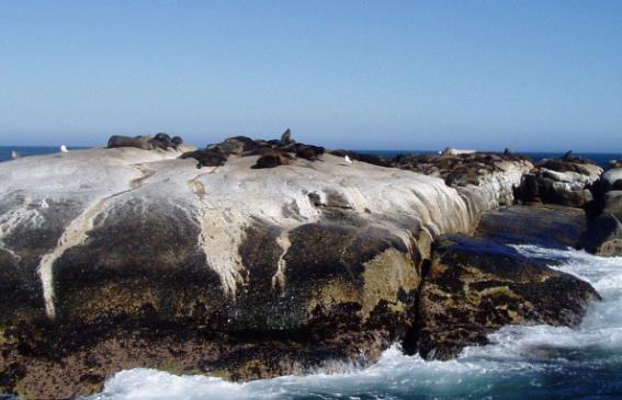 十大最富魅力死亡運(yùn)動(dòng)勝地旅游景點(diǎn)排行 南極氣溫低于零下50攝氏度
