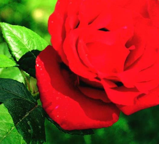 中國十大最原生態村落排名旅游景點排行