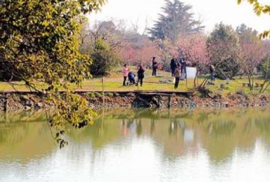 中國最美的十大梅花園旅游景點排行 莘莊公園原名“莘梅公園
