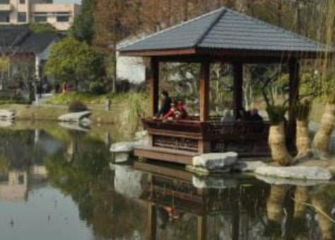 中國最美的十大梅花園旅游景點排行 莘莊公園原名“莘梅公園