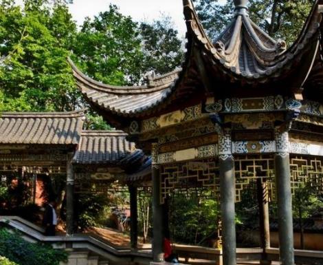 中國最美的十大梅花園旅游景點排行 莘莊公園原名“莘梅公園