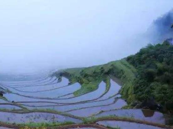 世界十大雨林旅游景點(diǎn)排行 塞拉多保護(hù)區(qū)由兩個(gè)部分組成