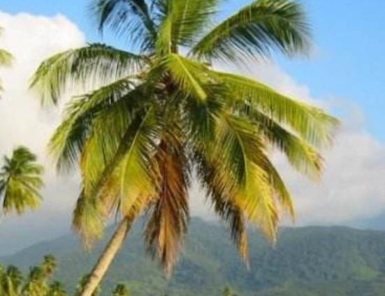 人生中必到的十個地方旅游景點排行 香格里拉被譽為地球上最后凈土