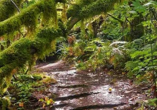 世界十大雨林旅游景點(diǎn)排行 塞拉多保護(hù)區(qū)由兩個(gè)部分組成