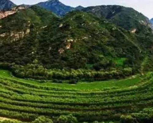 世界最著名的十大峽谷旅游景點排行 普羅沃峽谷位于美國猶他州