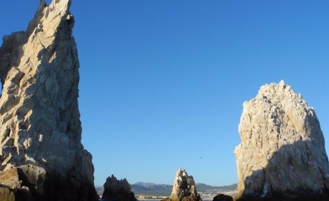 全球十大賞鯨圣地旅游景點排行 冰島可謂是鯨魚愛好者的天堂