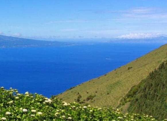 全球十大賞鯨圣地旅游景點排行 冰島可謂是鯨魚愛好者的天堂