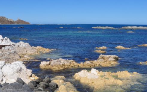 全球十大賞鯨圣地旅游景點排行 冰島可謂是鯨魚愛好者的天堂