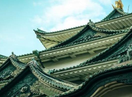 世界十大最迷人的森林旅游景點排行 懷波瓦森林有兩棵活貝殼杉樹