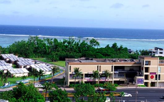 世界十大最迷人的森林旅游景點排行 懷波瓦森林有兩棵活貝殼杉樹