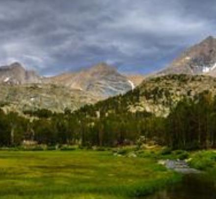 世界十大最迷人的森林旅游景點排行 懷波瓦森林有兩棵活貝殼杉樹