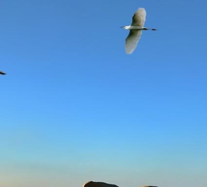 中國十大最適合情侶的旅游勝地旅游排行 夢幻張家界喻為“情人旅游線”