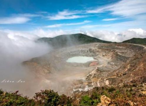 世界十大最迷人的森林旅游景點排行 懷波瓦森林有兩棵活貝殼杉樹