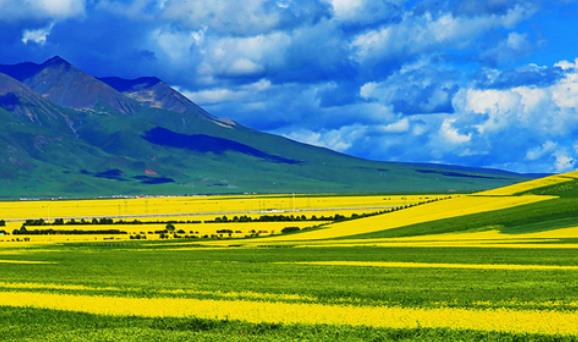 蜜月旅行必去的世界十大浪漫花海旅游景點(diǎn)排行 浪漫普羅旺斯