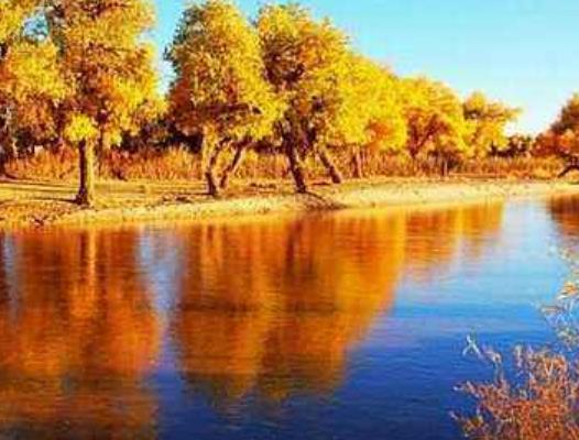 中國十大勾魂美景旅游景點排行 油菜花面積達四十萬畝左右