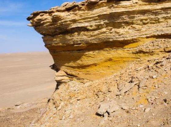 中國十大勾魂美景旅游景點排行 油菜花面積達四十萬畝左右