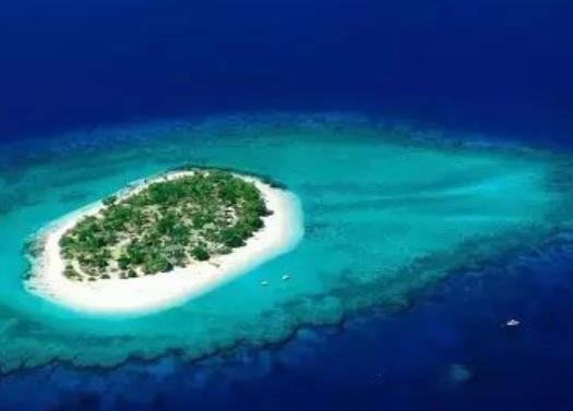 世界十大壯觀人工魚礁旅游景點排行 沖之鳥礁是一處非常成功的人工魚礁