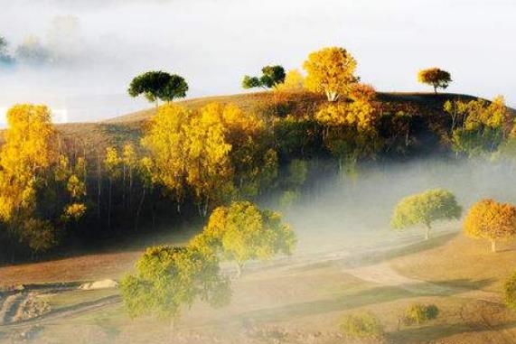 中國十大勾魂美景旅游景點排行 油菜花面積達四十萬畝左右