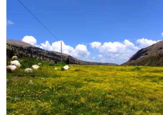 全球凈化身心的十大好去處旅游排行 伊比沙島有6間房間的白色莊園