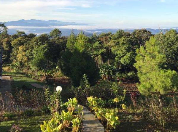 全球凈化身心的十大好去處旅游排行 伊比沙島有6間房間的白色莊園