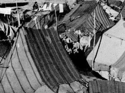 世界十大壯觀人工魚礁旅游景點排行 沖之鳥礁是一處非常成功的人工魚礁