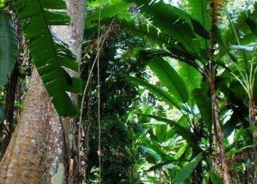 十大最珍貴的易碎美景旅游景點排行 蘇門答臘是一座青翠欲滴的綠島