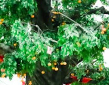 去香港十個不可不去的地方旅游排行 半島酒店是歷史最悠久的的酒店